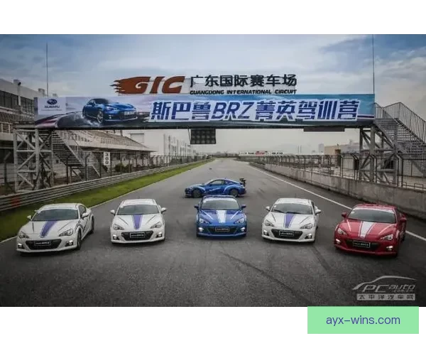 燃动全场竞技激情，尽享体育竞猜胜负策略乐趣